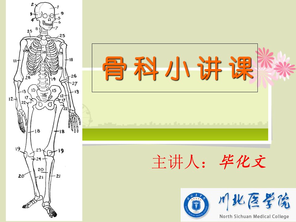 骨科小讲课课件