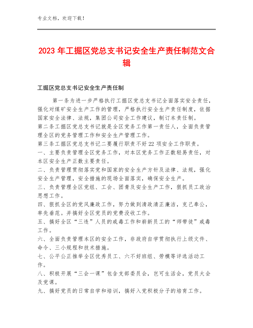 2023年工掘区党总支书记安全生产责任制范文合辑