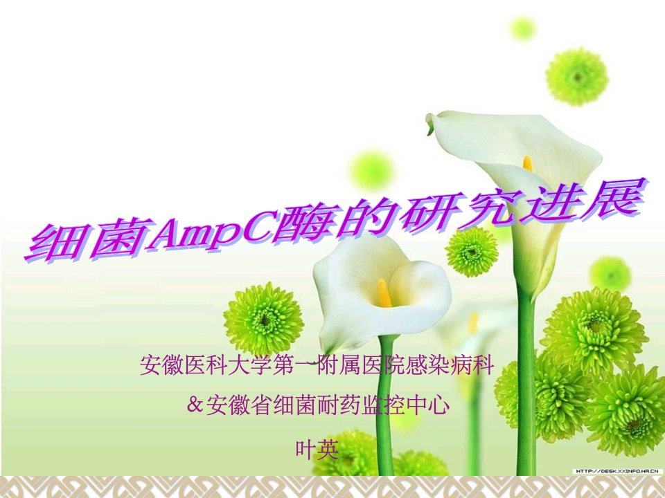 《AmpC酶的研究进展》PPT课件