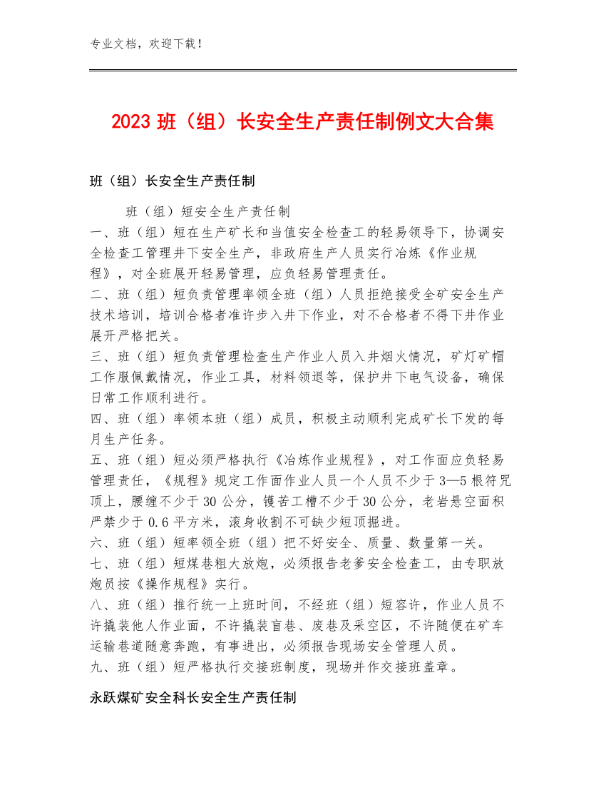 2023班（组）长安全生产责任制例文大合集