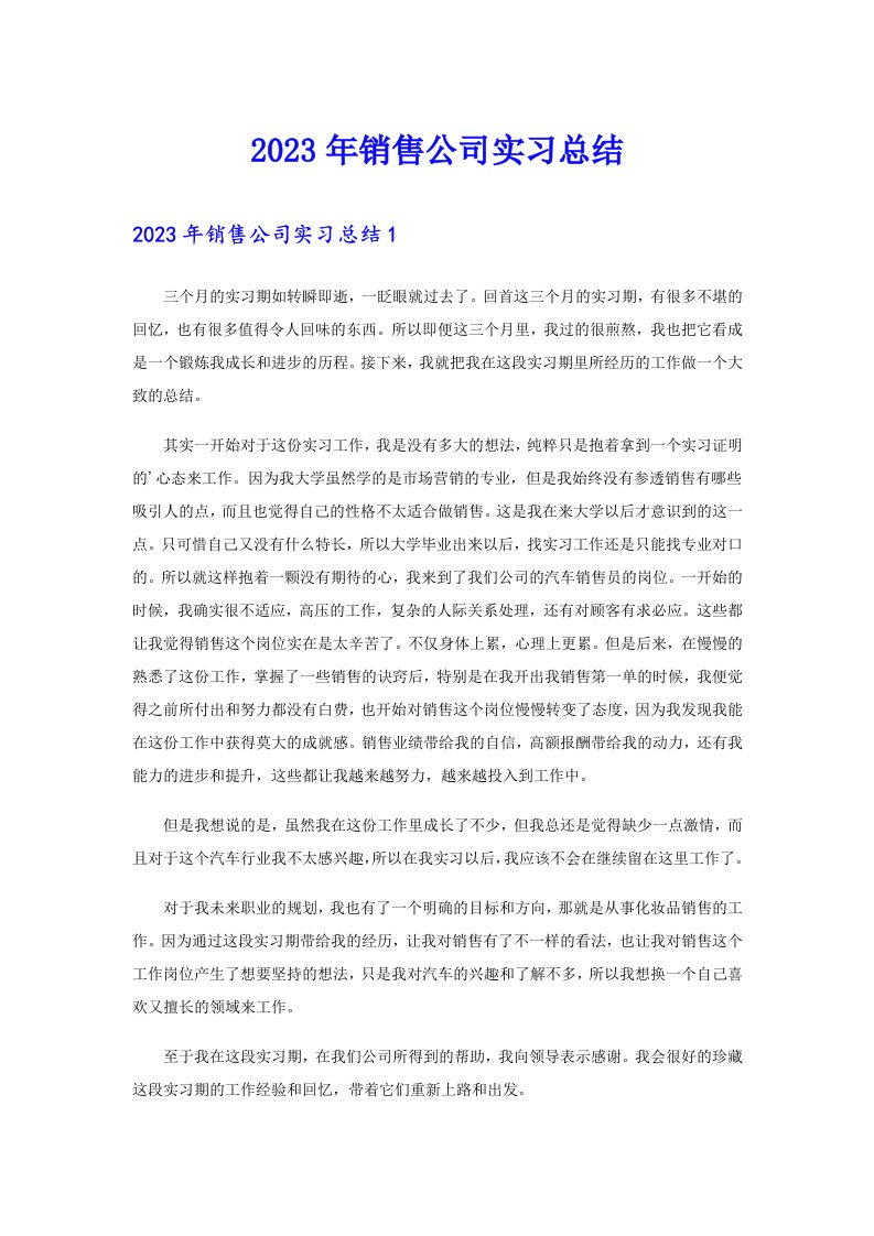 2023年销售公司实习总结