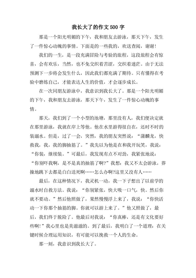 我长大了的作文500字