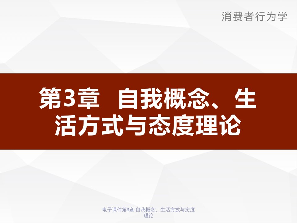 电子课件第3章自我概念生活方式与态度理论