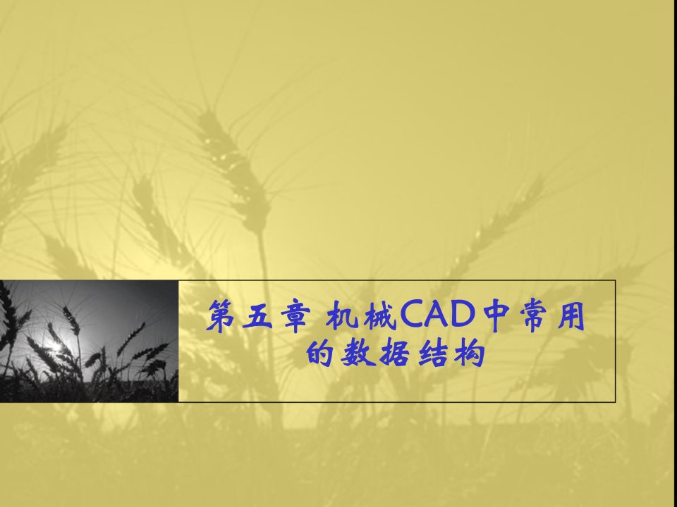 机械行业-第五章机械CAD中常用的数据结构