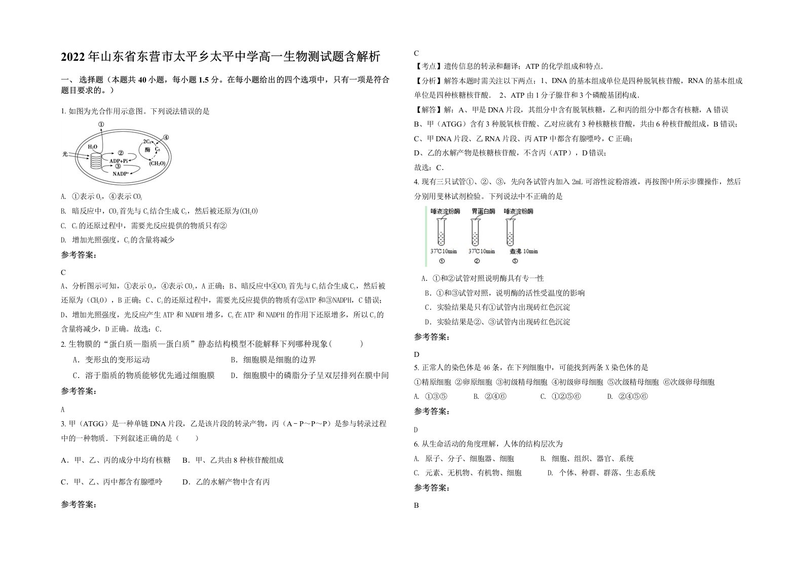 2022年山东省东营市太平乡太平中学高一生物测试题含解析