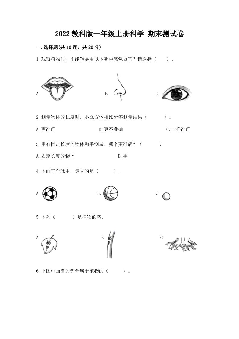 2022教科版一年级上册科学