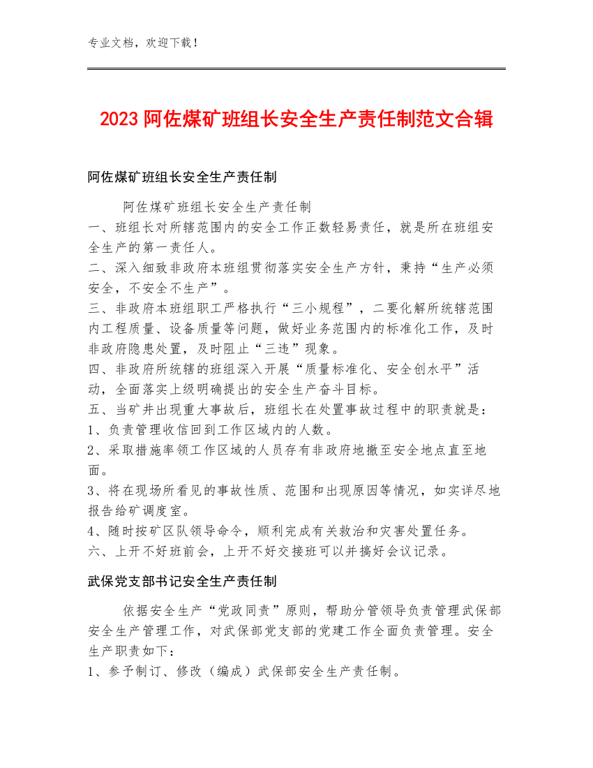 2023阿佐煤矿班组长安全生产责任制范文合辑