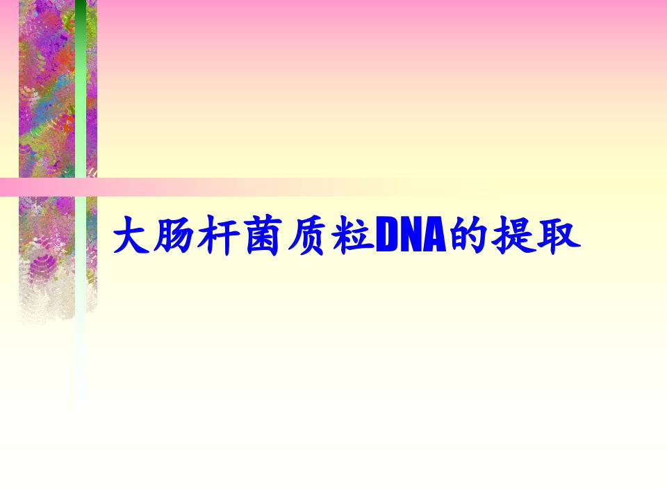 大肠杆菌质粒DNA的提取