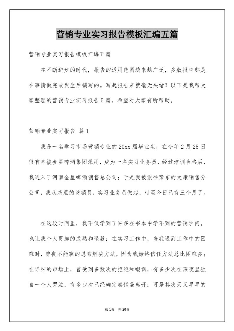 营销专业实习报告模板汇编五篇