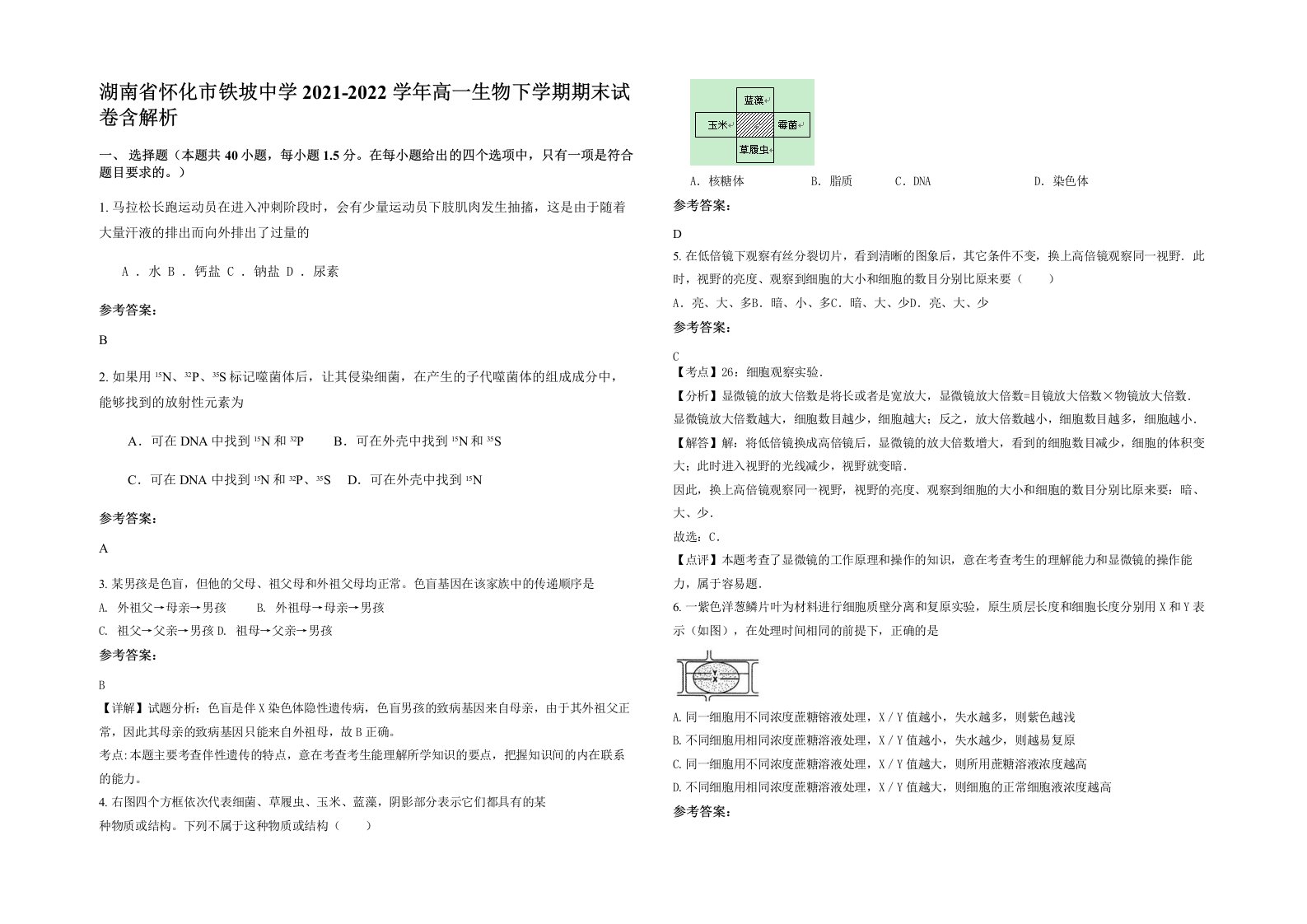 湖南省怀化市铁坡中学2021-2022学年高一生物下学期期末试卷含解析