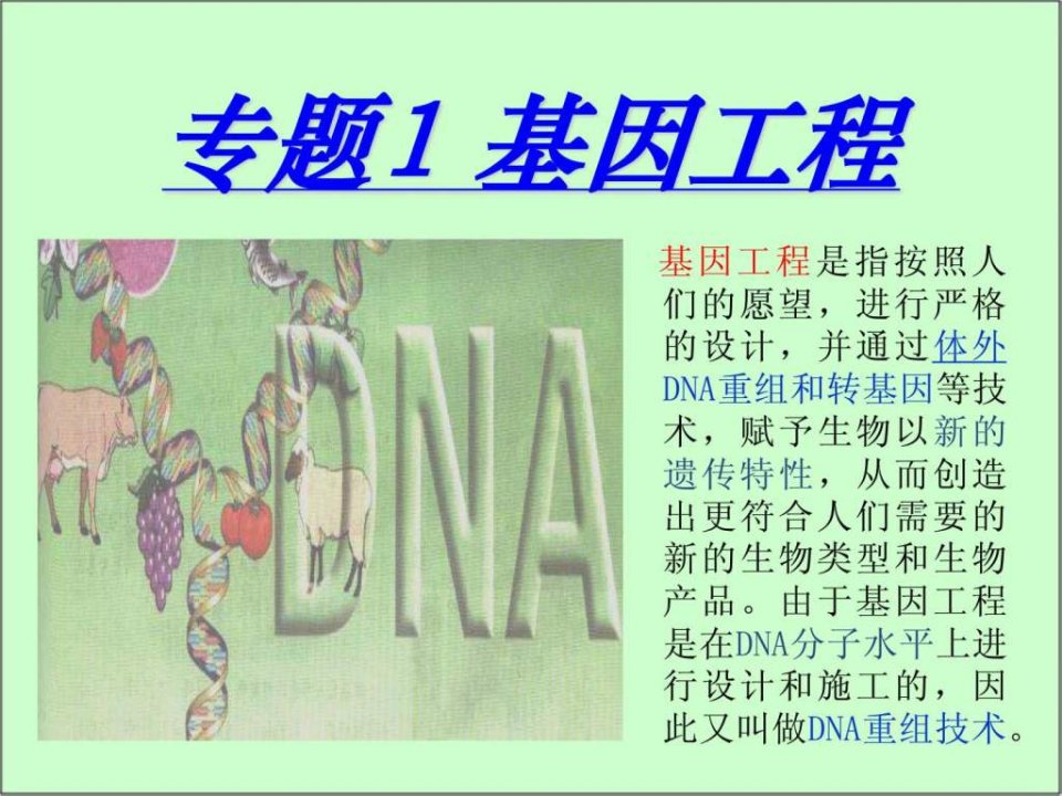 DNA重组技术的基本工具动画很经典