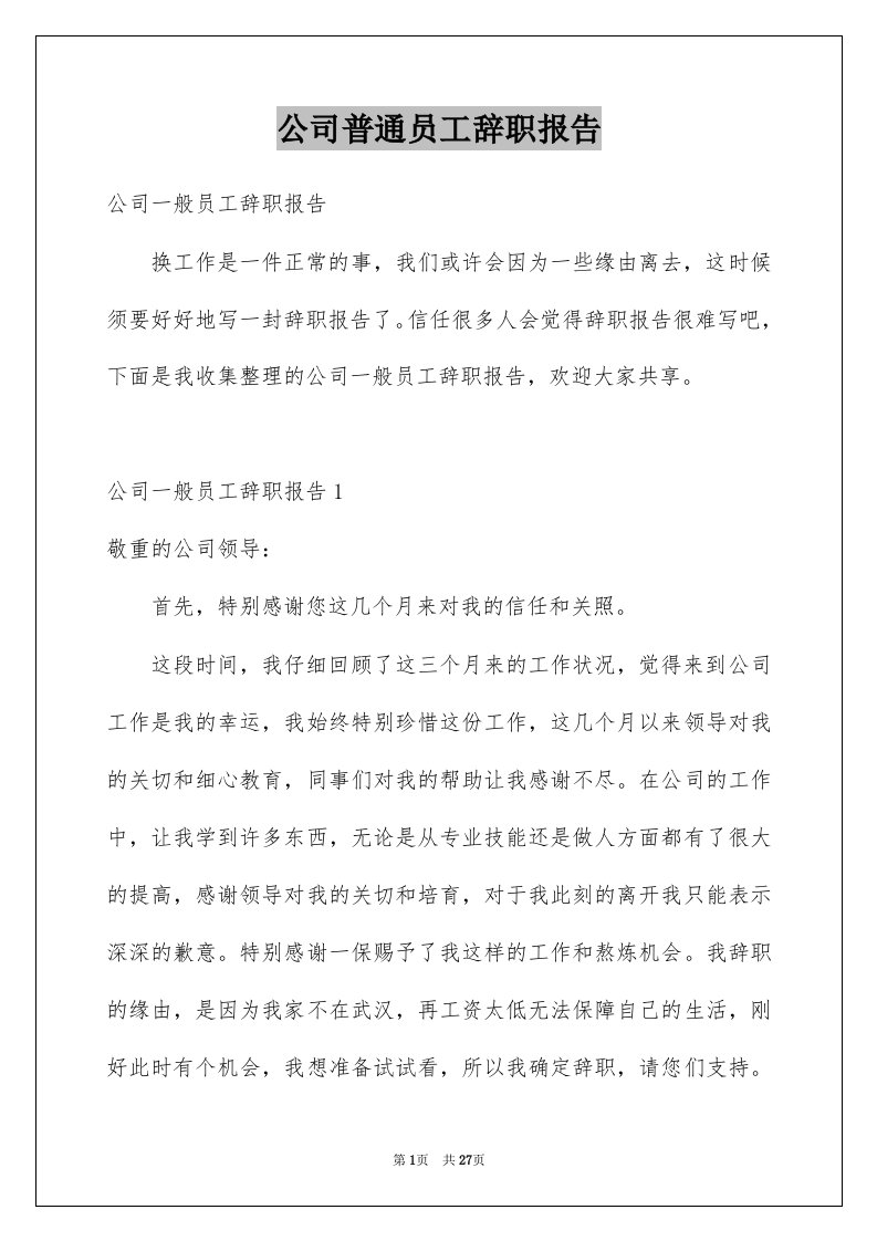 公司普通员工辞职报告例文2