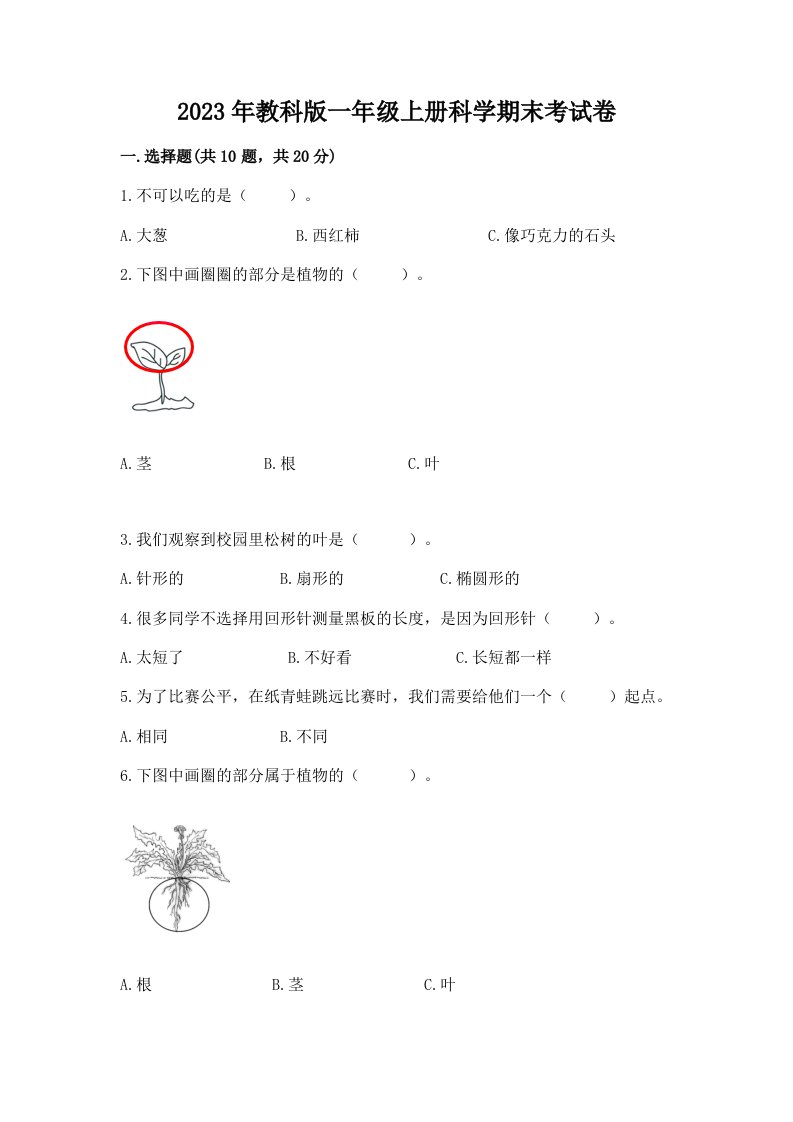 2023年教科版一年级上册科学期末考试卷推荐