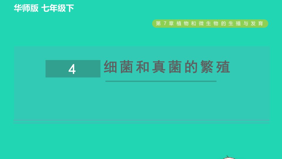 2022九年级科学下册第7章植物和微生物的生殖与发育4细菌和真菌的繁殖习题课件新版华东师大版