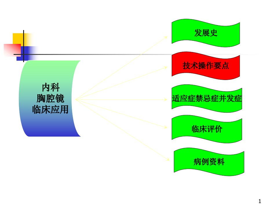 内科胸腔镜PPT演示课件