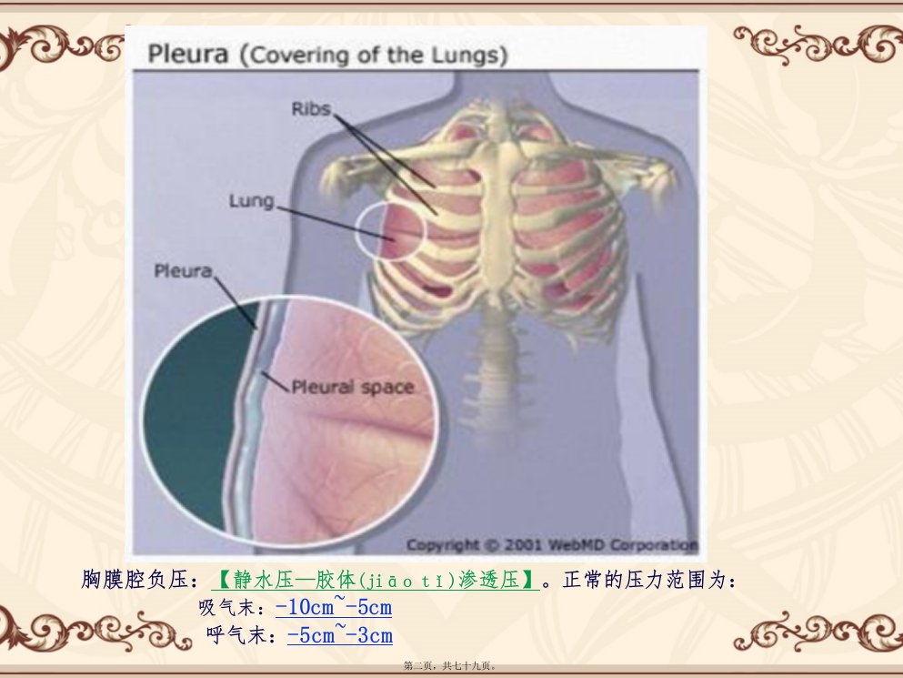 医学专题胸腔积液气胸脓肿