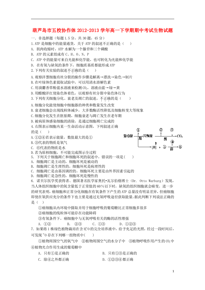 辽宁省葫芦岛市五校协作体2012-2013学年高一生物下学期期中试题新人教版