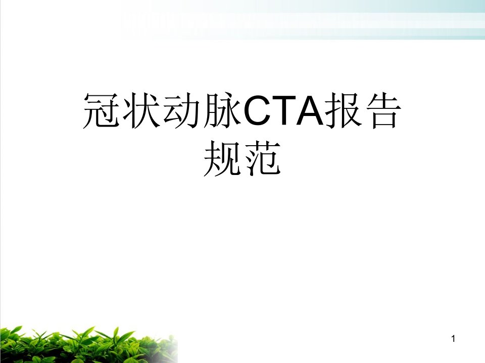 冠状动脉CTA报告规范课件