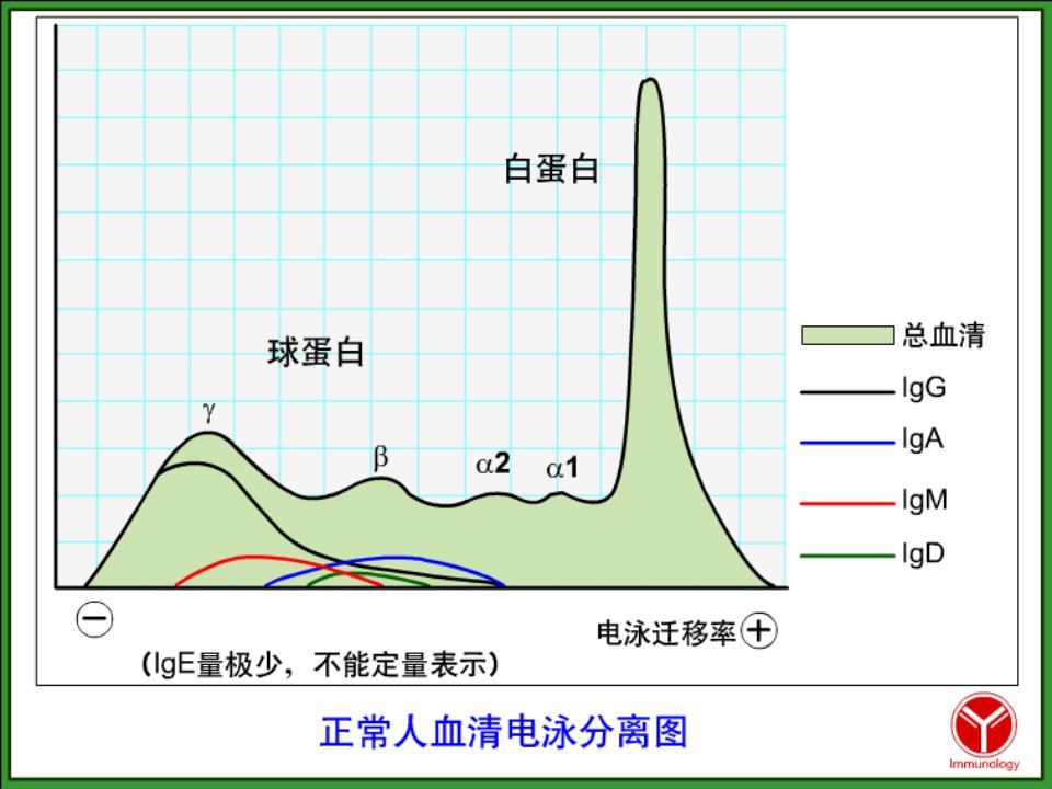 医学免疫学IG课件