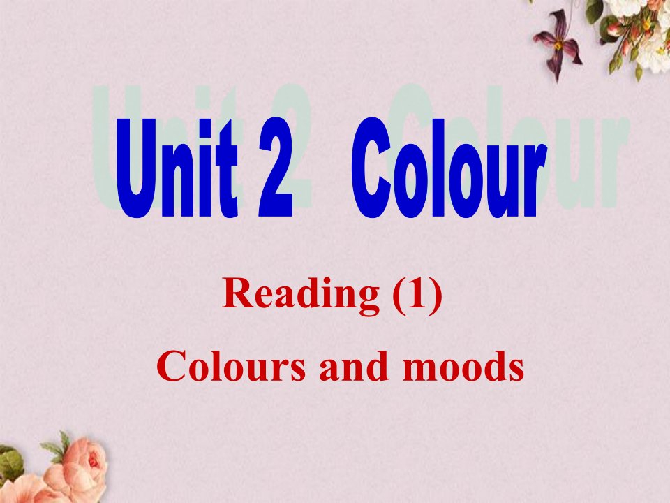 九年级英语上册-Unit-2-Colour-Readingppt课件