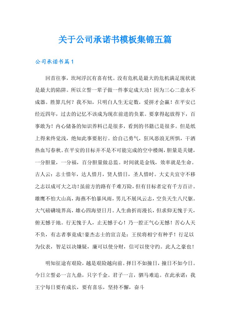 关于公司承诺书模板集锦五篇