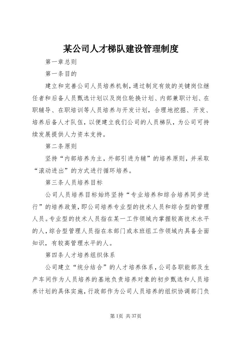 某公司人才梯队建设管理制度_1