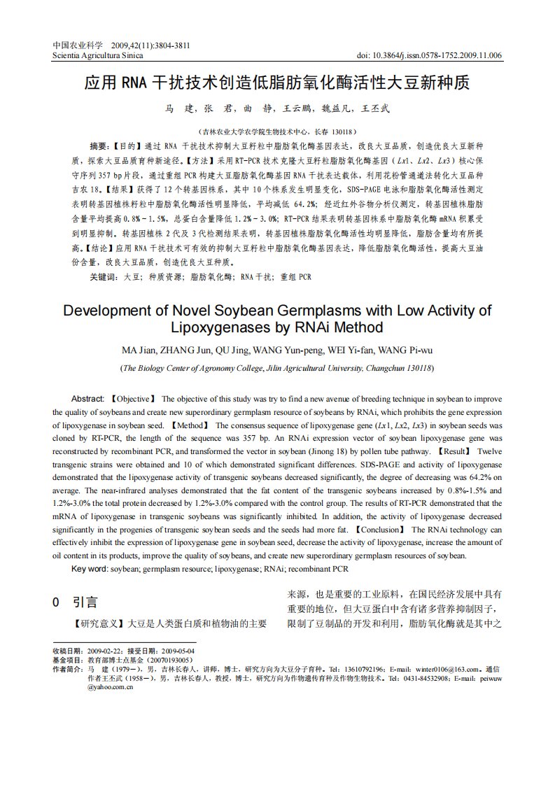 应用RNA干扰技术创造低脂肪氧化酶活性大豆新种质
