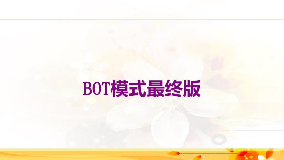 BOT模式最终版-PPT课件