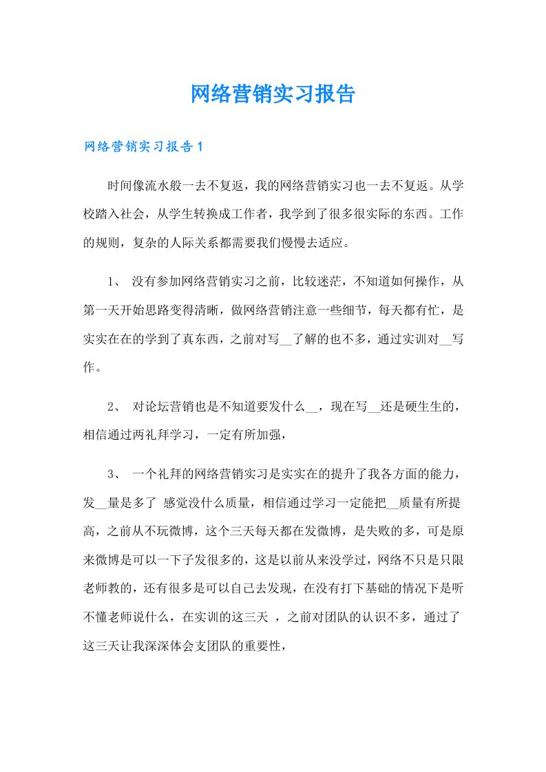 （精选模板）网络营销实习报告