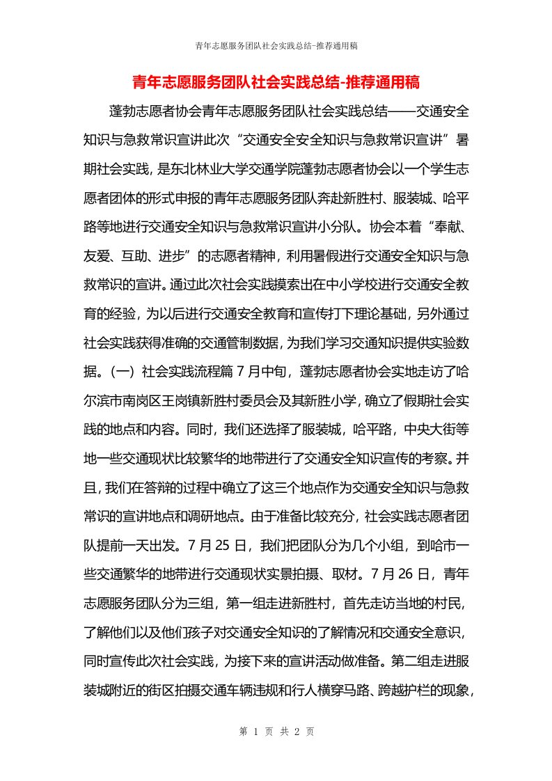 青年志愿服务团队社会实践总结