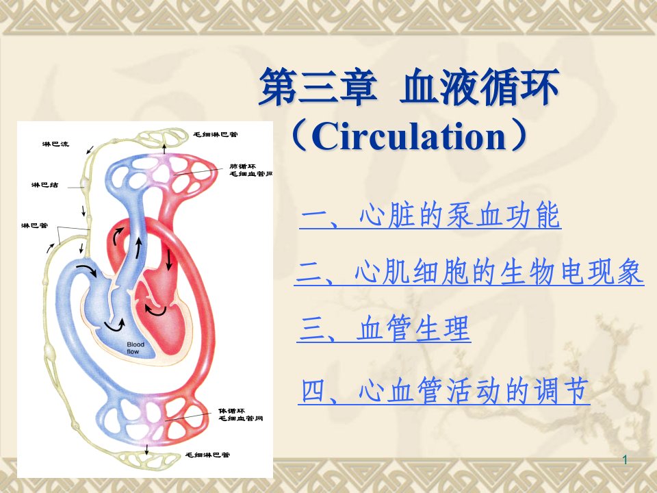 心肌细胞的生物电现象与心血管活动的调节课件