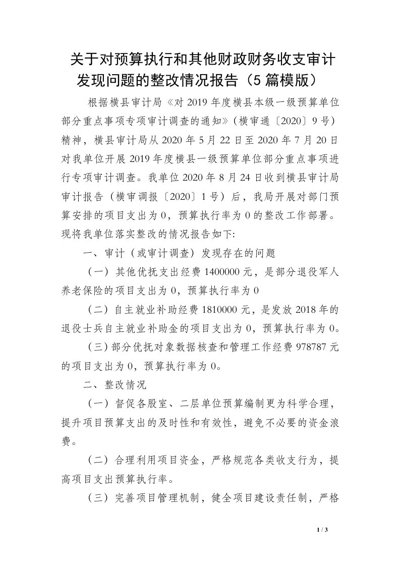 关于对预算执行和其他财政财务收支审计发现问题的整改情况报告（5篇模版）