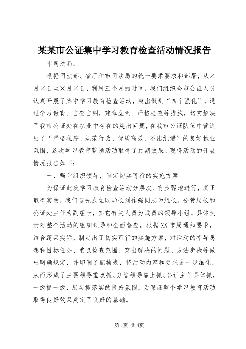 某某市公证集中学习教育检查活动情况报告