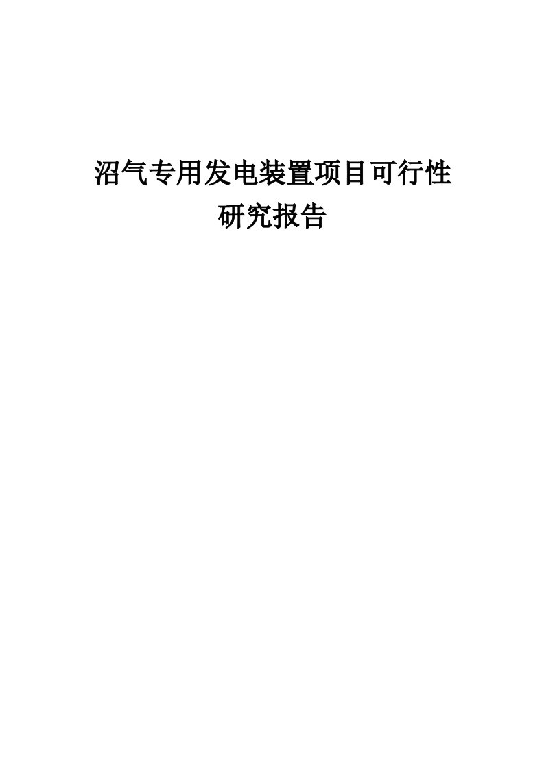 沼气专用发电装置项目可行性研究报告