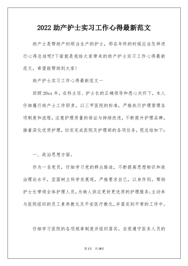 2022助产护士实习工作心得最新范文