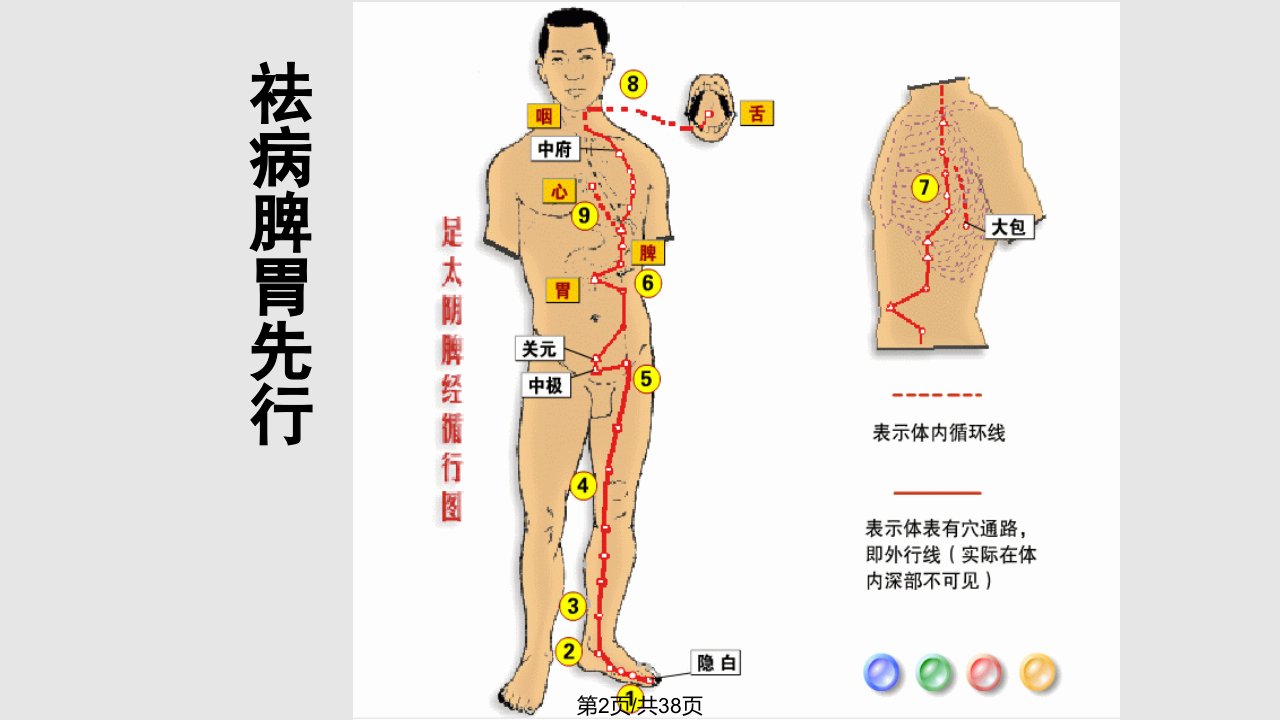 足太阴脾经123456789101112131415学习