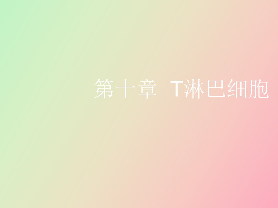 淋巴细胞下午