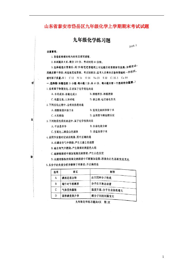 山东省泰安市岱岳区九级化学上学期期末考试试题（扫描版）