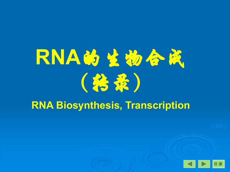 《生物化学转录》PPT课件