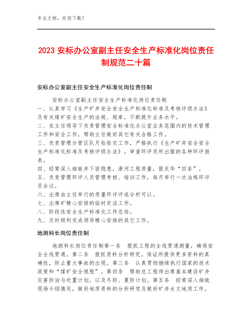 2023安标办公室副主任安全生产标准化岗位责任制规范二十篇