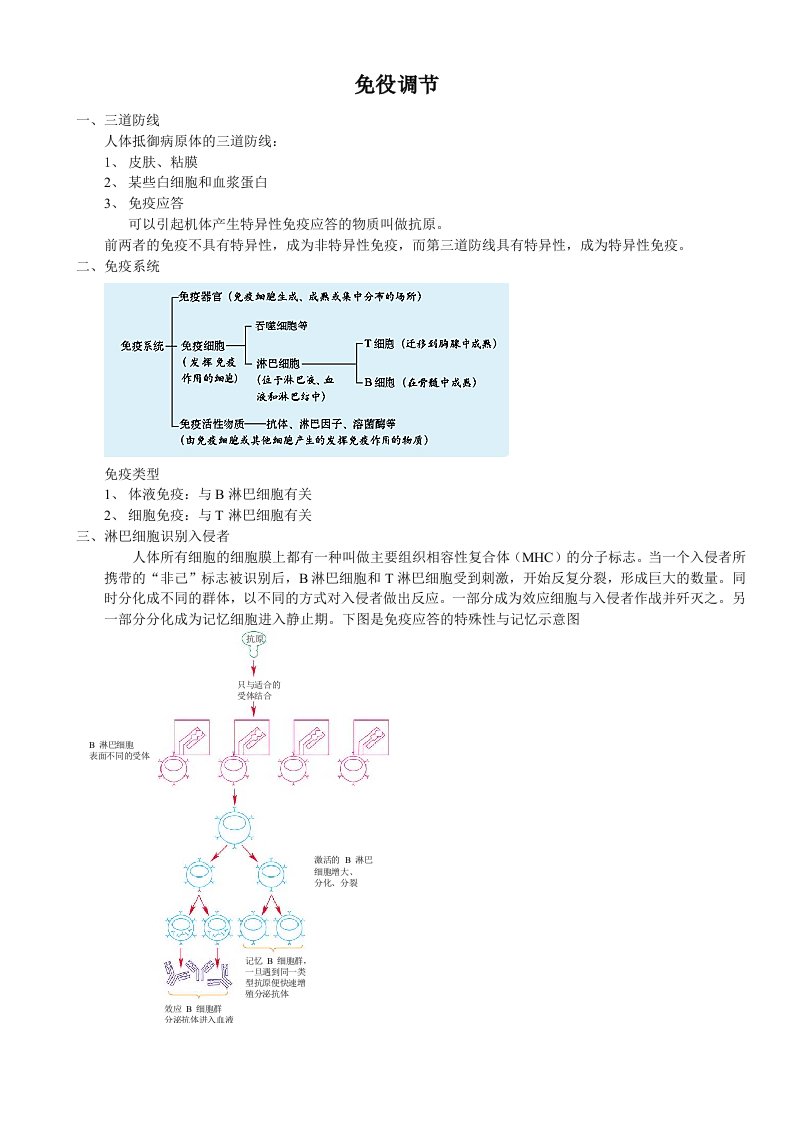 高中生物免疫系统复习