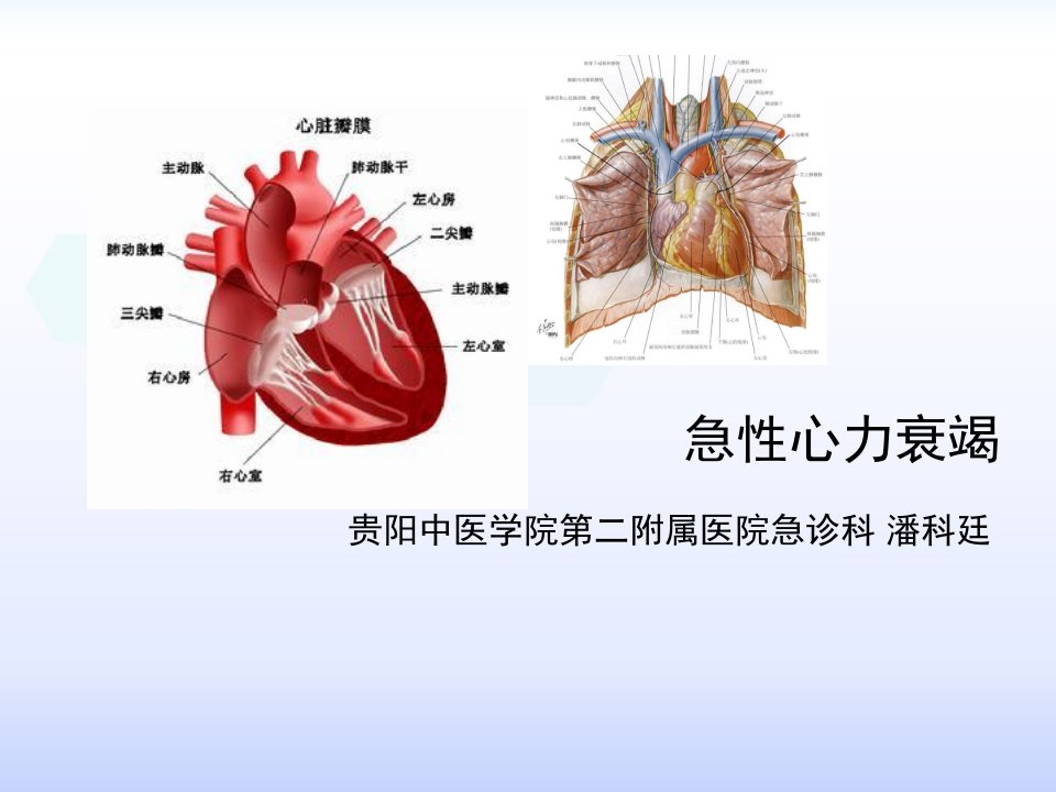 急性心力衰竭中西医临床危重病学ppt课件