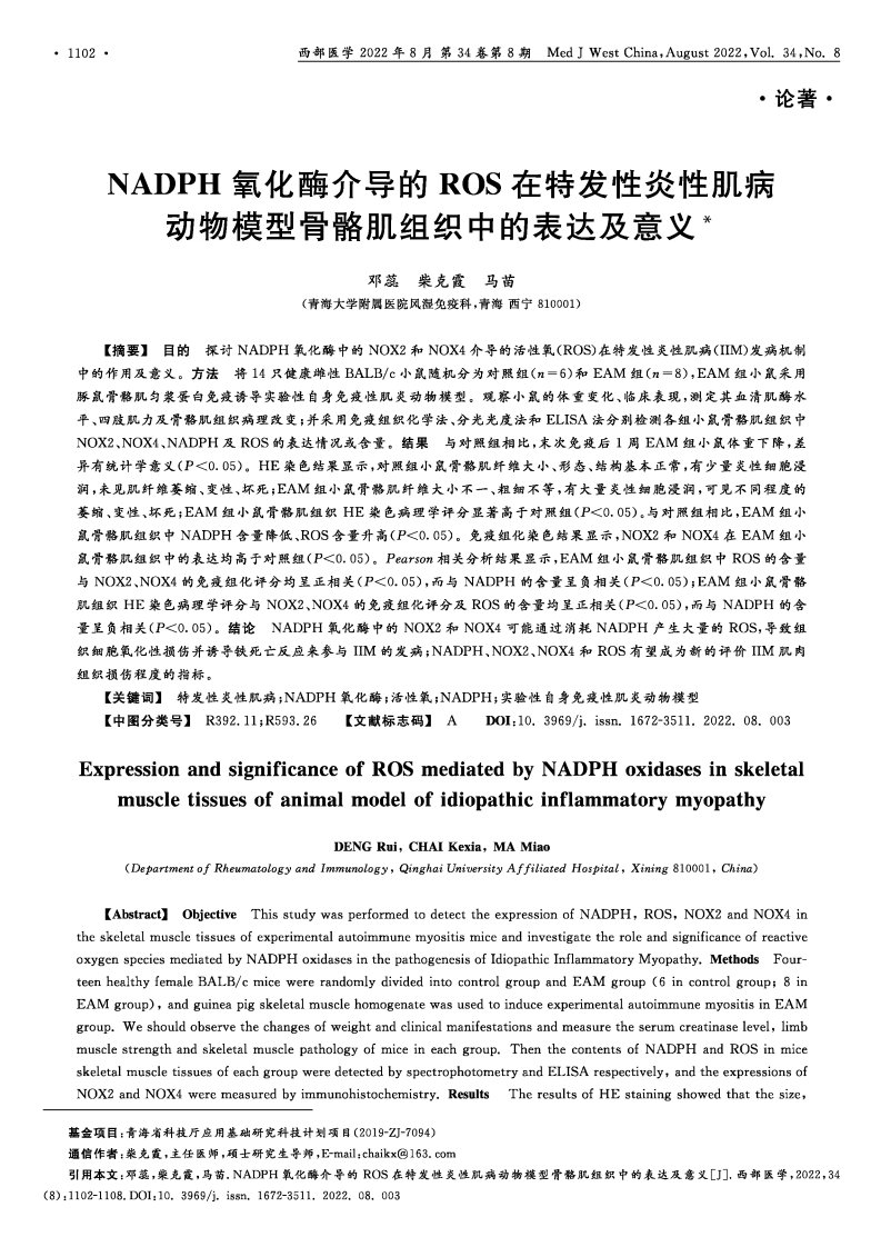 NADPH氧化酶介导的ROS在特发性炎性肌病动物模型骨骼肌组织中的表达及意义