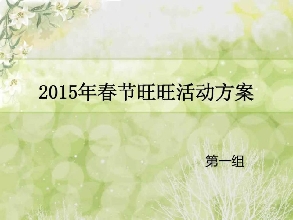 2015年春节活动方案