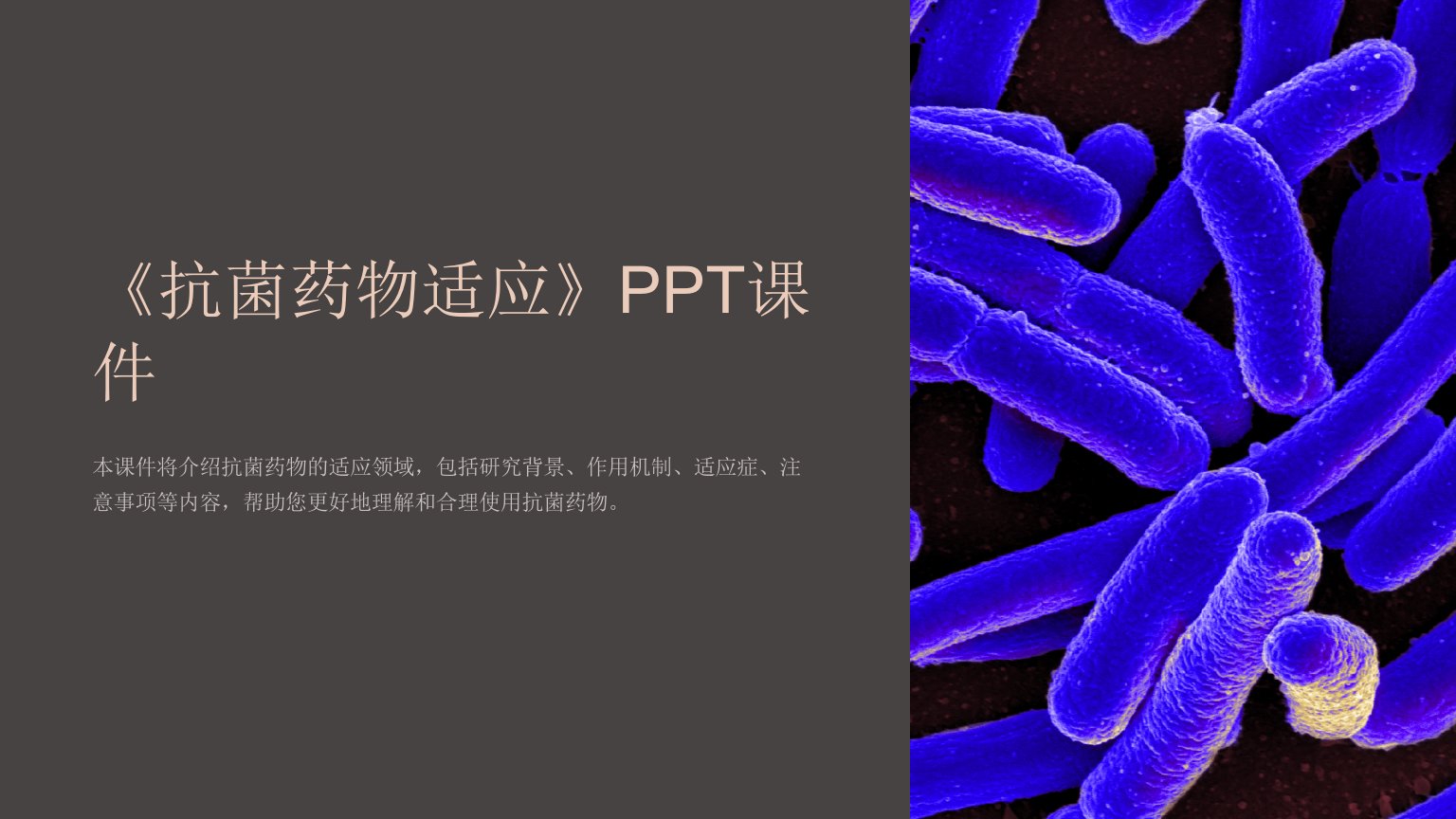 《抗菌药物适应》课件