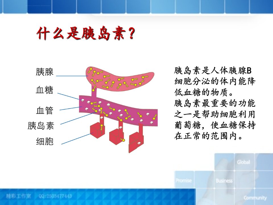 胰岛素的分类和胰岛素笔的注射与口服降糖药物的使用ppt课件