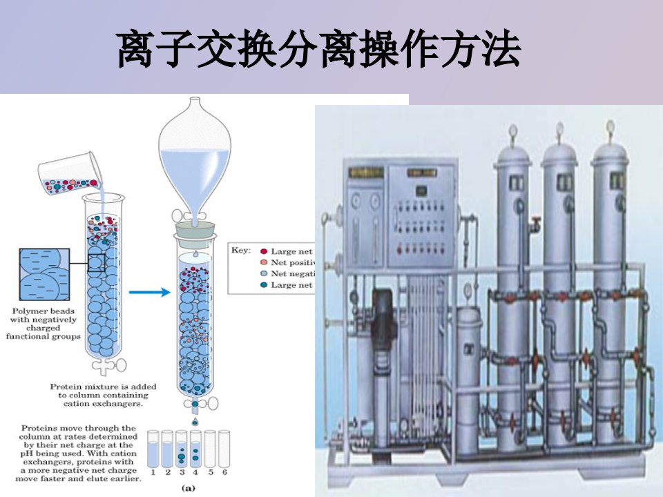 离子交换操作步骤