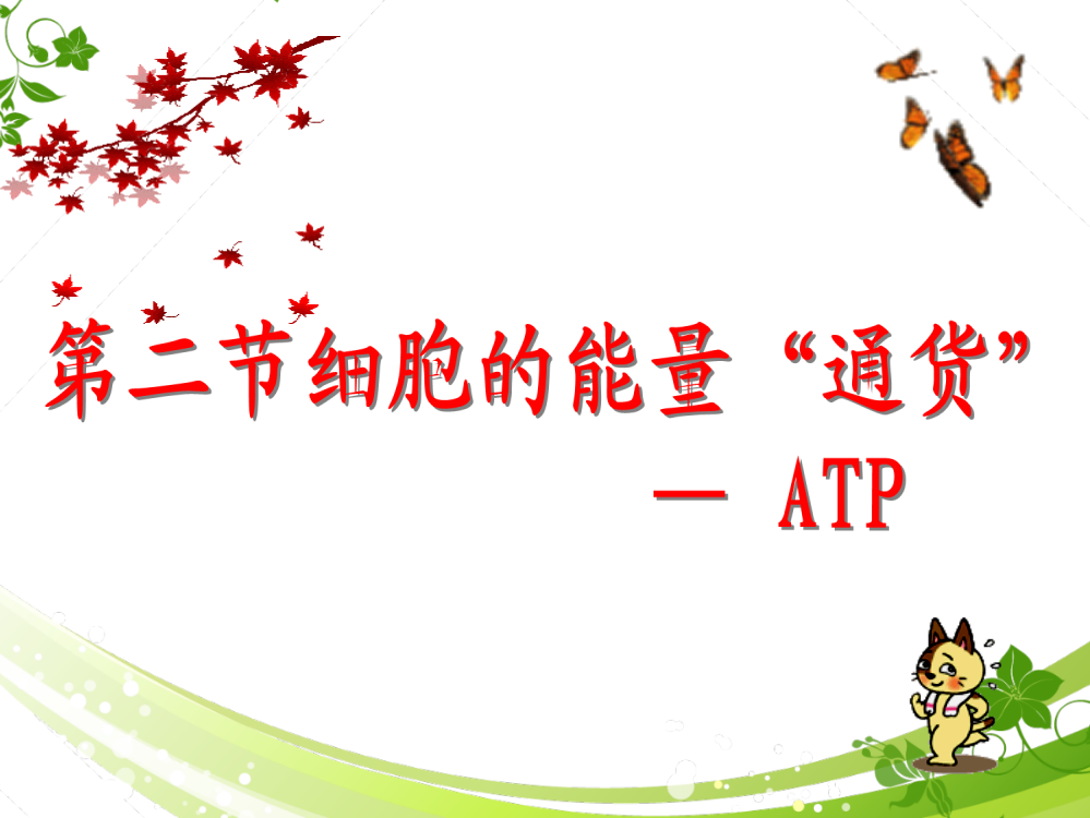 -细胞的能量通货-ATP