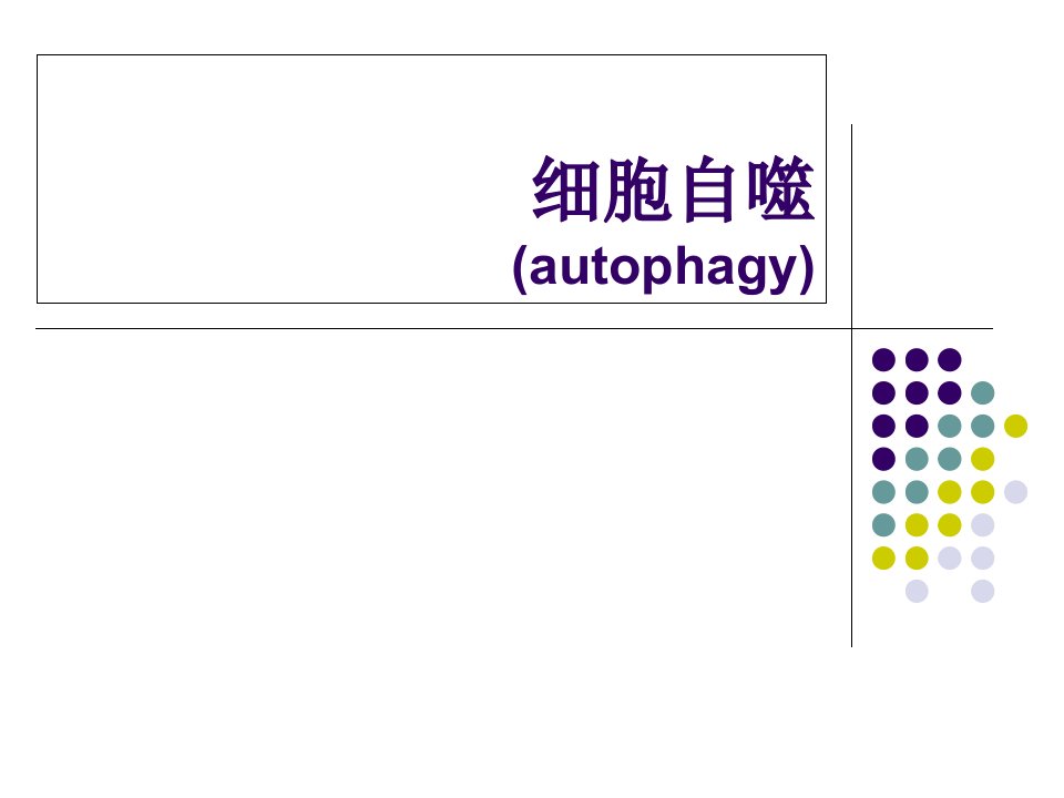 细胞自噬-B上课讲义