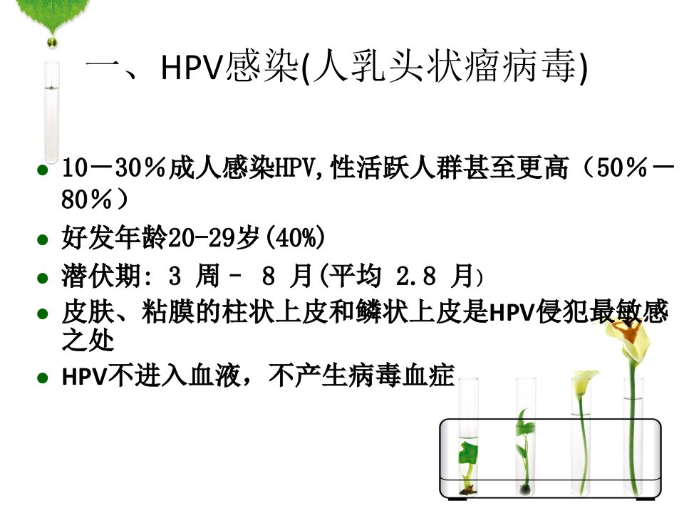 HPV感染与宫颈癌的宣传资料PPT幻灯片